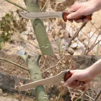 დანა (პირებით)/ტურისტული "გზამკვლევი" კომპლექტი, ხერხი, ნაჯახი, დანა, ყუთი - Image 5