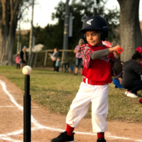 ball for baseball - Image 8
