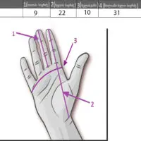 зимние перчатки для катания на лыжах Marsnow — изображение 5