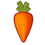 carrot