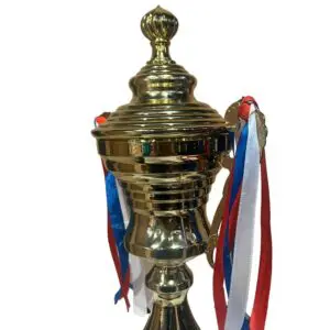 Кубок трофей — изображение 2
