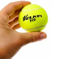 Welkin 929 Теннисный мяч/Спорт