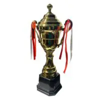 Trophy cup - Image 4