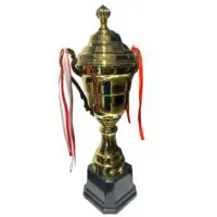 Trophy cup - Image 5