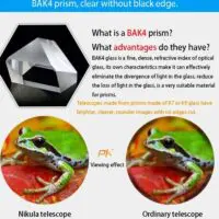 Бинокли NIKULA 10X22, компактные и портативные мини-бинокли, бинокли повышенной видимости, походные бинокли, оптические бинокли — изображение 14