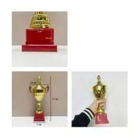 თასი, გამარჯვებულების სიმბოლო - იდეალურია სპორტული ტურნირებისთვის, სასკოლო შეჯიბრებებისა და კორპორატიული ღონისძიებებისთვის. - Image 6