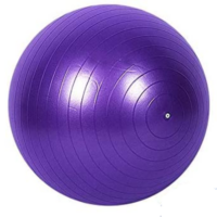 ფიტნეს ბურთი 65სმ იოგა სავარჯიშო პილატესის ბურთები - Image 14