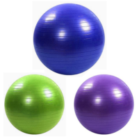 ფიტნეს ბურთი 65სმ იოგა სავარჯიშო პილატესის ბურთები - Image 9