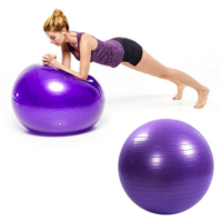 ფიტნეს ბურთი 65სმ იოგა სავარჯიშო პილატესის ბურთები - Image 16