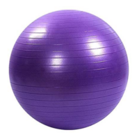 ფიტნეს ბურთი 65სმ იოგა სავარჯიშო პილატესის ბურთები - Image 12