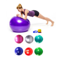 ფიტნეს ბურთი 65სმ იოგა სავარჯიშო პილატესის ბურთები