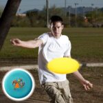 ფრიზბი (23 სმ) მბრუნავი თეფში/მფრინავი დისკი გარე თამაშებისთვის