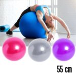 55 см фитнес мяч/мячи для занятий йогой/фитнесомфитнес мяч с насосом