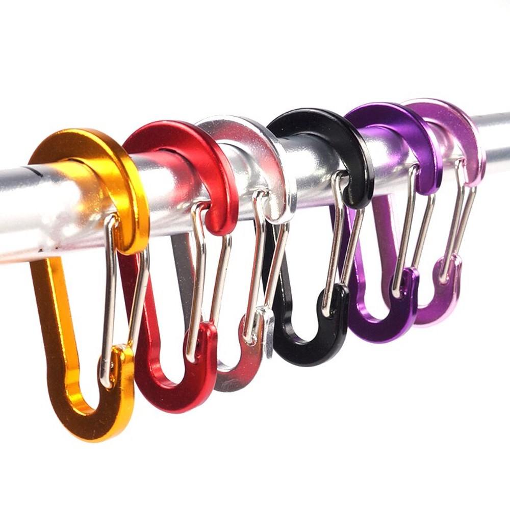 DELSWIN 12 Pcs Small Carabiner Clip - Stainless Steel Spring India