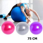 Fitness ball 65 cm Yoga balls with pump