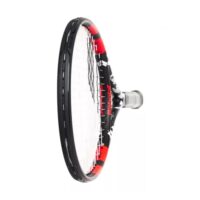 Babolat Evoke 105 ჩოგბურთის ჩოგანი/სპორტი - Image 2