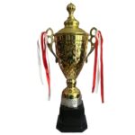Кубок/трофей