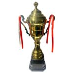Trophy cup