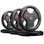 შტანგის ბლინები (ჰანტელები,განტელები,განტელი) შტანგის ბლინი არა ოლიმპიური/შტანგა