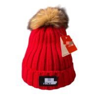 TNF hat /warm hat/winter wool hats - Image 6