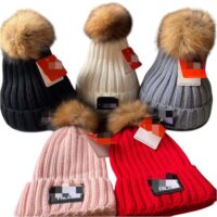 TNF hat /warm hat/winter wool hats