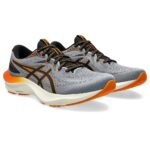 ASICS Gel-Jadeite 2 Sheet Rock Running Shoes/Fitness