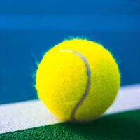 Теннисные мячи WELKIN 919, желтые, 1 шт., теннисный мяч, мячи для большого тенниса — изображение 7