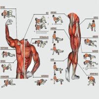 ფიტნეს როლერი 33 სმ აღდგენისთივს როლერი ღრმა ქსოვილების მასაჟის როლიკერი სპორტდარბაზისთვის. ზურგის, კისრის და მუხლის ტკივილის შემამსუბუქებელი როლიკერი. იოგას, ფიტნეს ვარჯიშის როლიკერი, კუნთების მასაჟის აღჭურვილობა, კუნთების აღდგენა, გაწელვა. - Image 18