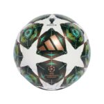 Football ball Adidas Champions League 24/25 Size 5, Football / Soccer Balls
